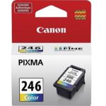 Canon CL-246 Standard Color Ink Cartridge, 8281B001
