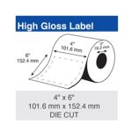 Epson  C60GD003 ColorWorks High Gloss, 4" X 6" Die Cut Roll, For C6000 and C7500 Series  - 975 lbls/roll -  Box of 2 rolls